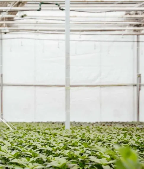 home-3-bg1 home-3-bg1